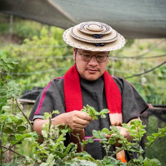 Leider Andres Tombe Morales wearing round, ornate hat, red neck garment amongst waist-to-shoulder-high shrubs